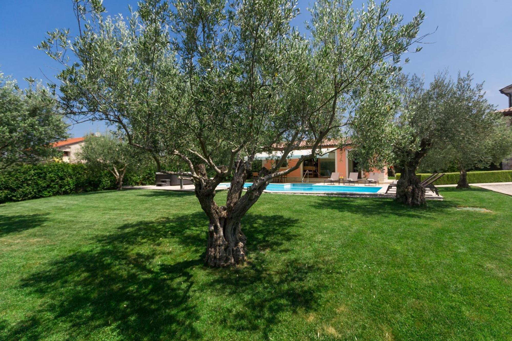 Ulika Mit Pool Und Jacuzzi Ferienhaus
